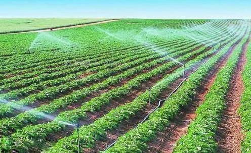 骚妇后入在线农田高 效节水灌溉